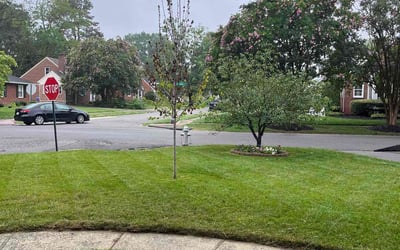 Photo of Fadelia L.'s yard after getting lawn care in Green Cove Springs, FL