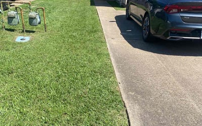 Photo of Alessandra C D.'s yard after getting lawn care in Santa Cruz, CA