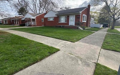 Photo of Mandy P.'s yard after getting lawn care in Hamtramck, MI