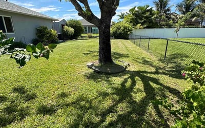 Photo of Jamie S.'s yard after getting lawn care in Fort Myers Beach, FL