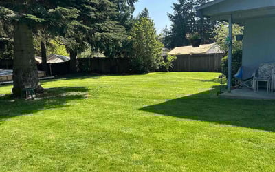 Photo of Ligaya A.'s yard after getting lawn care in Federal Way, WA