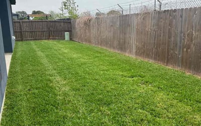 Photo of Sharon B.'s yard after getting lawn care in Robstown, TX