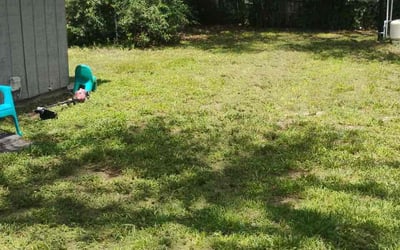 Photo of Sara J.'s yard after getting lawn care in Morgantown, WV