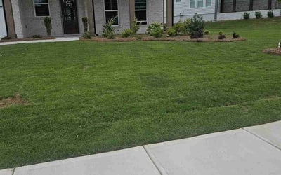 Photo of Hyunsung S.'s yard after getting lawn care in Gainesville, VA