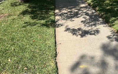Photo of Kelly D.'s yard after getting lawn care in Alhambra, CA
