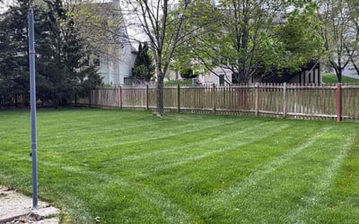 Photo of Nicole M.'s yard after getting lawn care in Overland Park, KS