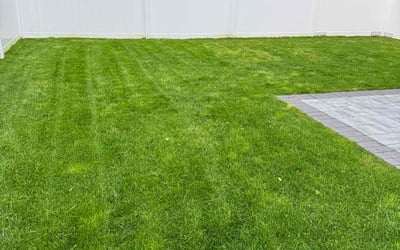Photo of Regan M.'s yard after getting lawn care in Medford, MA