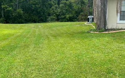 Photo of Earl M.'s yard after getting lawn care in San Carlos, CA