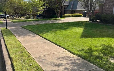 Photo of Luna B.'s yard after getting lawn care in Hernando, MS