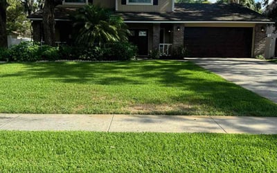 Photo of Tim E.'s yard after getting lawn care in Valrico, FL