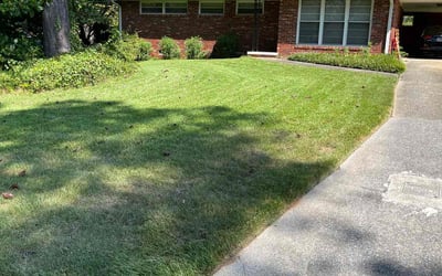 Photo of T. W.'s yard after getting lawn care in Smyrna, GA