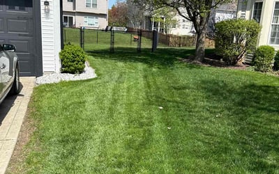 Photo of Lori M.'s yard after getting lawn care in Pendleton, IN