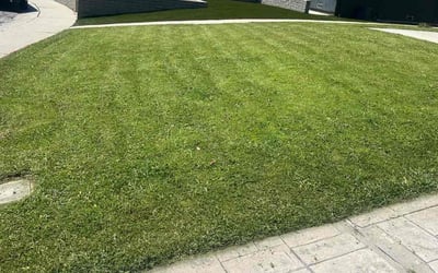 Photo of Julia C.'s yard after getting lawn care in Sherman Oaks, CA