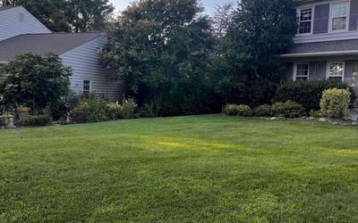 Photo of Linda M.'s yard after getting lawn care in Centreville, VA