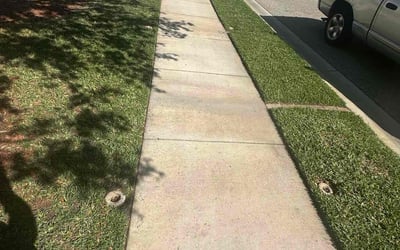 Photo of Andrew H.'s yard after getting lawn care in Bradenton, FL