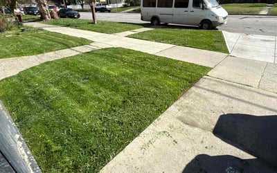 Photo of Kristy A.'s yard after getting lawn care in Anacortes, WA
