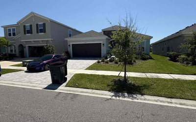 Photo of Barbara B.'s yard after getting lawn care in Apollo Beach, FL