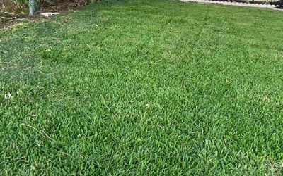 Photo of Alana B.'s yard after getting lawn care in Mahwah, NJ