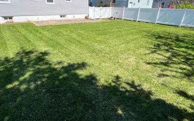 Photo of Kat K.'s yard after getting lawn care in Linden, NJ