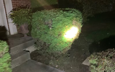 Photo of Ashley T.'s yard after getting lawn care in Alexandria, KY