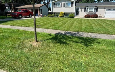Photo of Linda k.'s yard after getting lawn care in Greece, NY