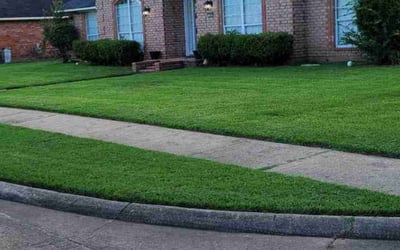 Photo of Carlos I.'s yard after getting lawn care in Bossier City, LA