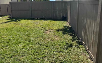 Photo of Tom B.'s yard after getting lawn care in Escondido, CA