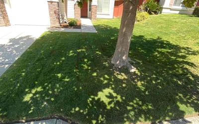 Photo of Jerry F.'s yard after getting lawn care in Riverside, CA