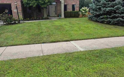 Photo of Lance W.'s yard after getting lawn care in Chesterfield, MO