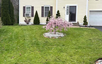 Photo of Joshua W.'s yard after getting lawn care in South Windsor, CT