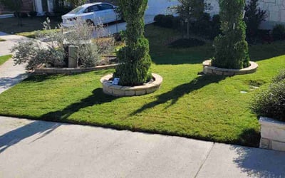 Photo of Shirley W.'s yard after getting lawn care in Leander, TX