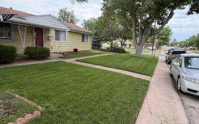 Photo of Justin F.'s yard after getting lawn care in Denver, CO