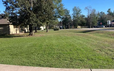 Photo of Peggy A.'s yard after getting lawn care in Bellflower, CA