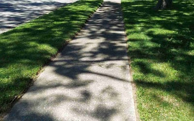 Photo of Mike C.'s yard after getting lawn care in Park Forest, IL