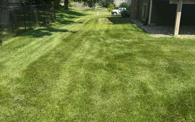 Photo of Kieran B.'s yard after getting lawn care in Trumbull, CT