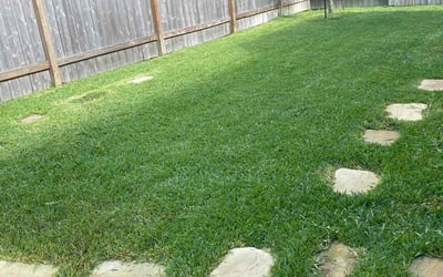 Photo of Jerry B.'s yard after getting lawn care in Malden, MA