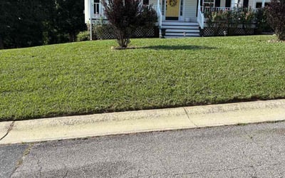 Photo of Sim R.'s yard after getting lawn care in Federal Way, WA