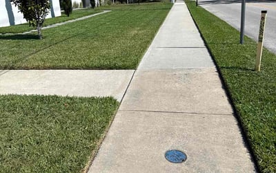 Photo of Alex B.'s yard after getting lawn care in Tampa, FL