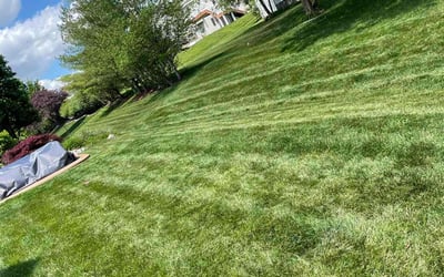 Photo of James B.'s yard after getting lawn care in O'Fallon, MO