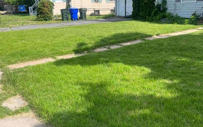 Photo of Josh P.'s yard after getting lawn care in East Hartford, CT