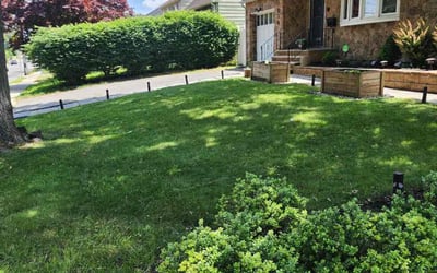 Photo of Mya D.'s yard after getting lawn care in Bloomfield, NJ