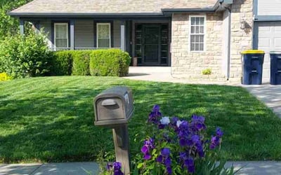 Photo of Adrian B.'s yard after getting lawn care in Phenix City, AL