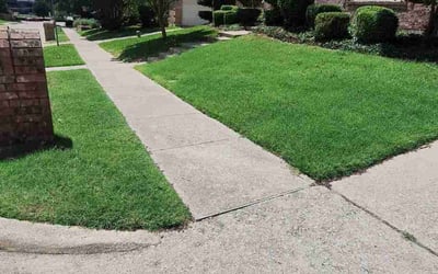 Photo of Raymond K.'s yard after getting lawn care in Farmingville, NY