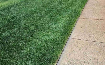 Photo of Victor C.'s yard after getting lawn care in Colonia, NJ