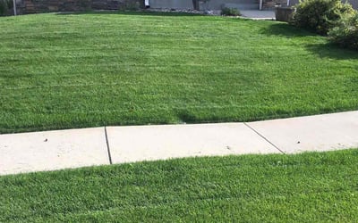 Photo of Janet F.'s yard after getting lawn care in Rapid City, SD