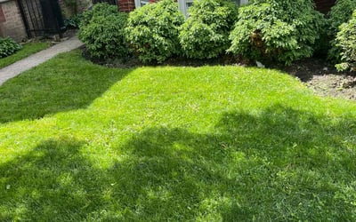 Photo of Terae K.'s yard after getting lawn care in Crest Hill, IL