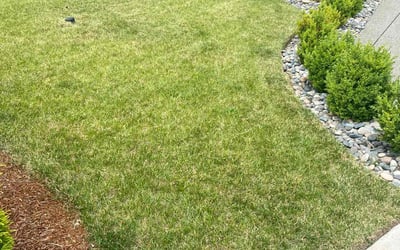 Photo of Sarah M.'s yard after getting lawn care in Vancouver, WA