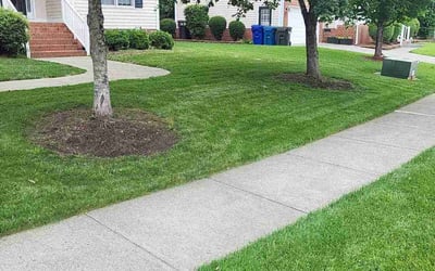 Photo of Angelo R.'s yard after getting lawn care in Hillsborough, NC