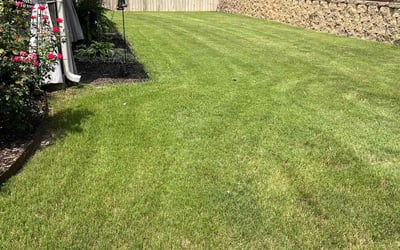 Photo of Carla G.'s yard after getting lawn care in Little Rock, AR
