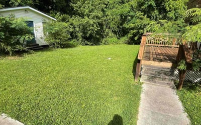 Photo of Carlos N.'s yard after getting lawn care in East Point, GA